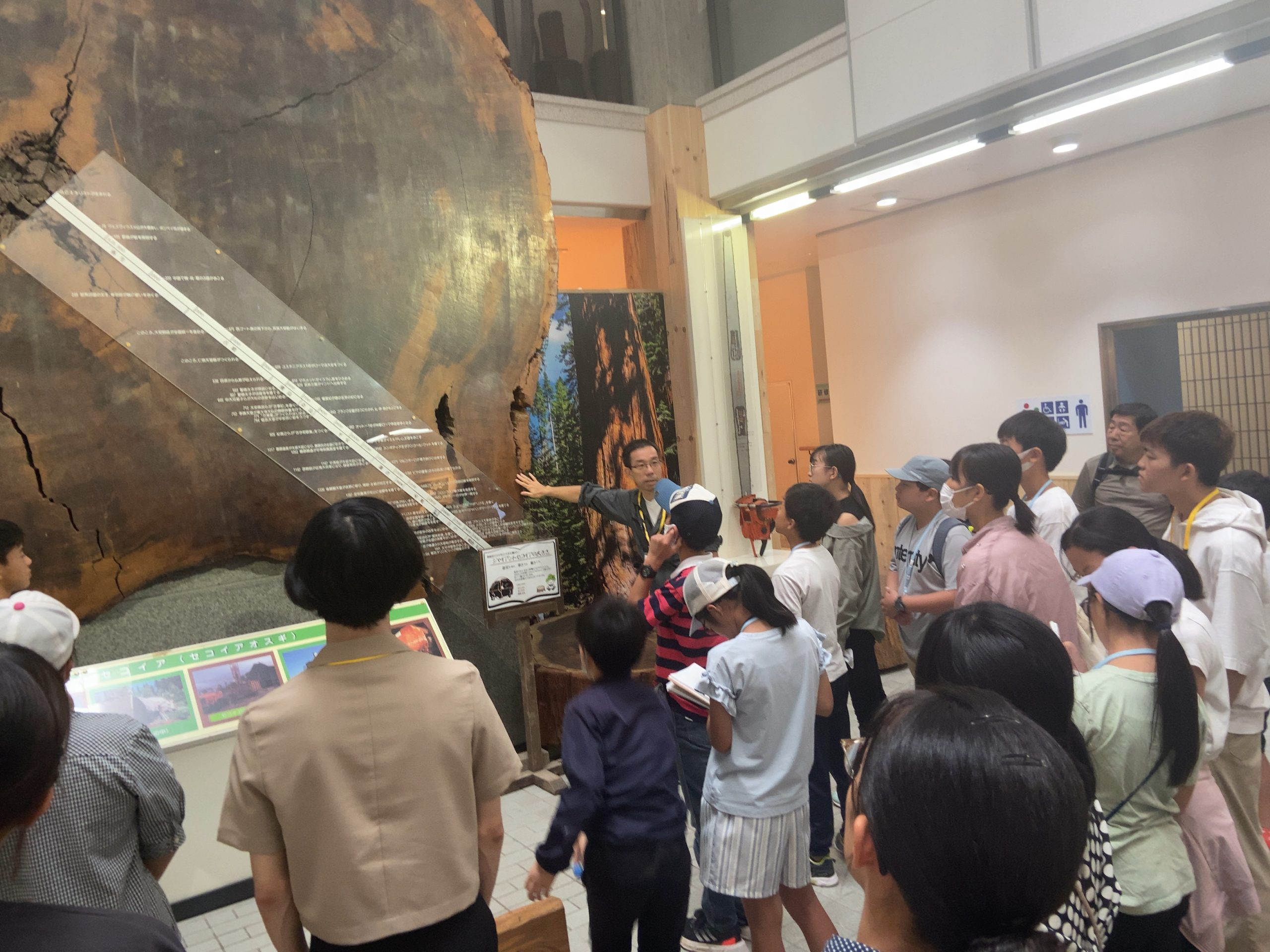 森林植物園の不思議